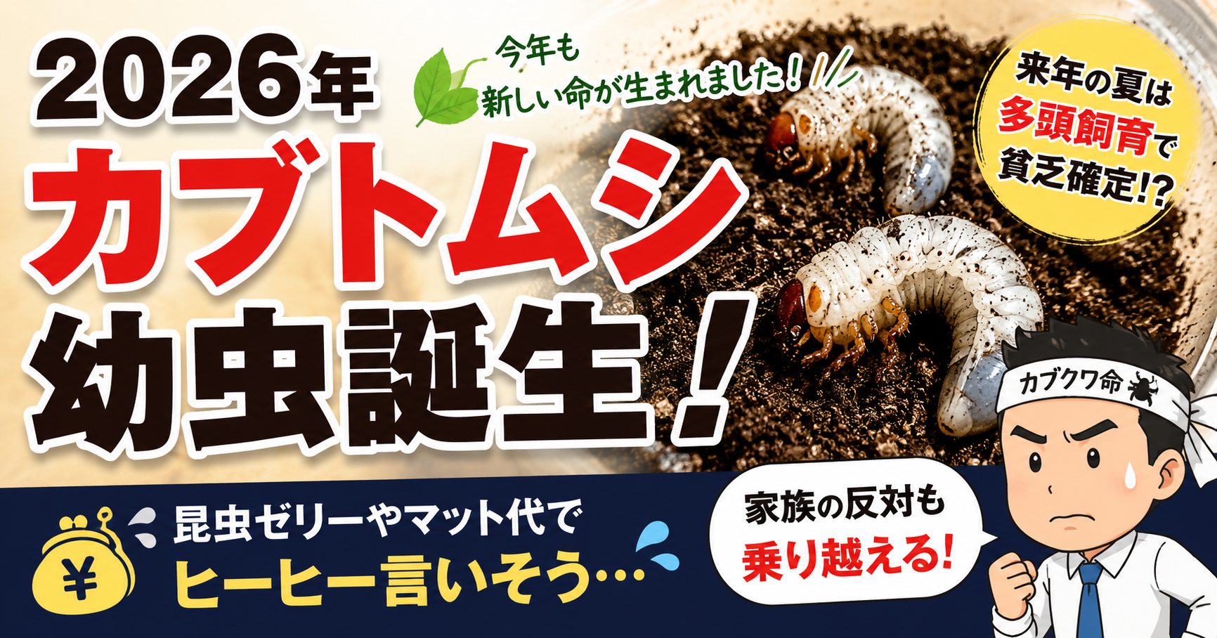 2026年カブトムシの幼虫誕生