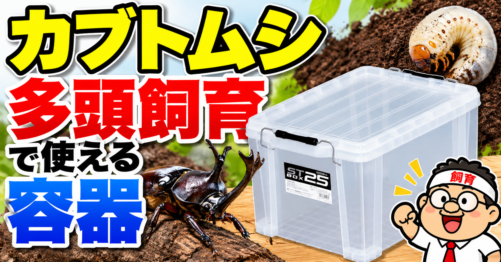 カブトムシの多頭飼育で使えるコンテナボックス